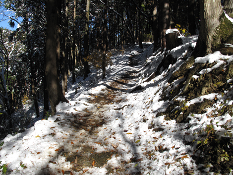 20161125hike (98)